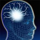 Científicos de EE.UU intentan modernizar el cerebro humano, insertando el botón de la memoria «On/Off»