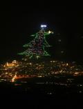 Papa Benedicto XVI activó un árbol gigante de Navidad con un Android