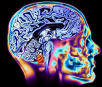 Neurociencia cognitiva, educar con emociones