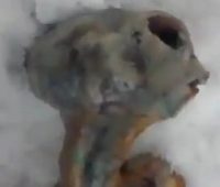 Encontrado el cadáver de un extraterrestre en Siberia