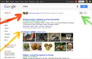 Google integra a Google+ en su buscador